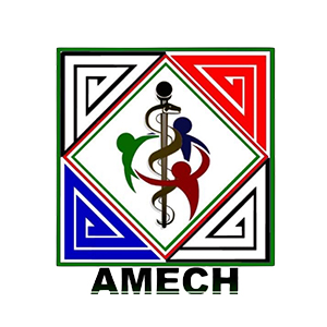 AMECH