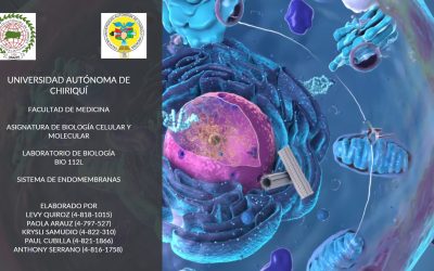 Laboratorio de Biología de Sistema de endomembranas
